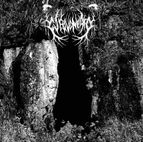 Cuervo Negro : Parte 2: Encuentro en el Bosque